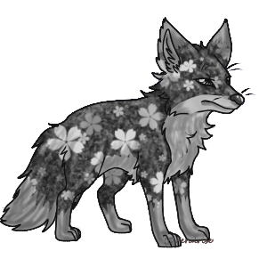 Sprypounce