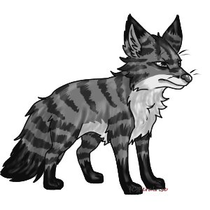 Maizestripe