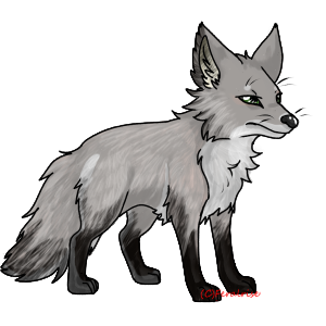 Firbranch
